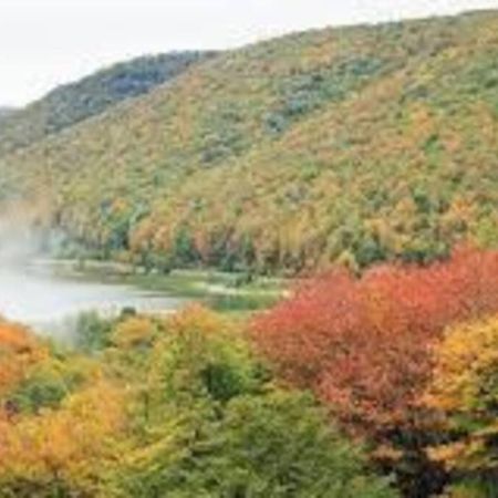 Small Town Hideaway Wyalusing Εξωτερικό φωτογραφία
