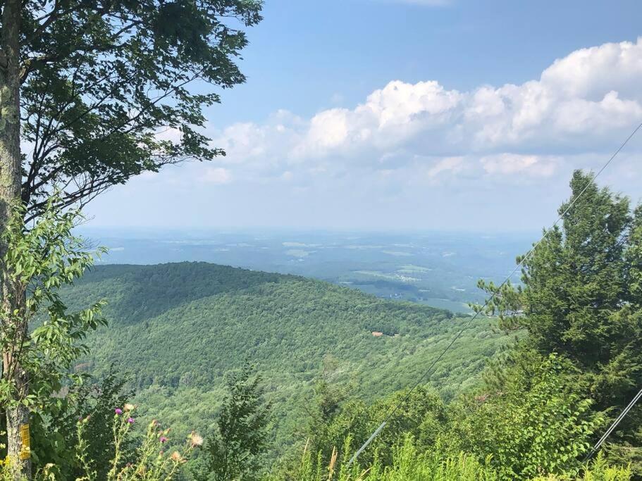 Small Town Hideaway Wyalusing Εξωτερικό φωτογραφία